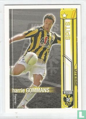 Harrie Gommans - Afbeelding 1