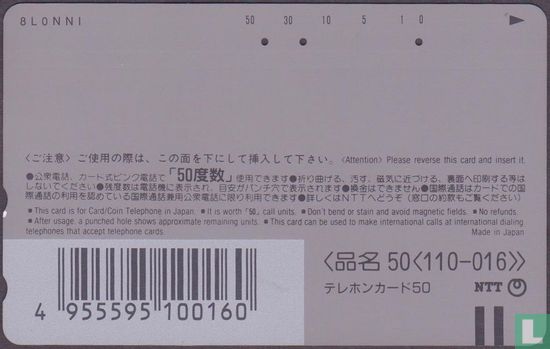 Hakone Tozan Line EMU 101 (3) - Bild 2