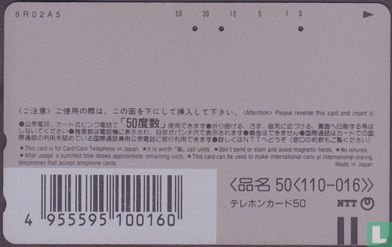 Hakone Tozan Line EMU 101 (5) - Bild 2