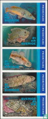 Fische der nordischen Region - Bild 1
