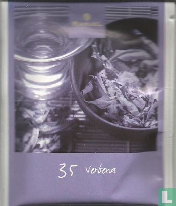 35 Verbena - Afbeelding 1