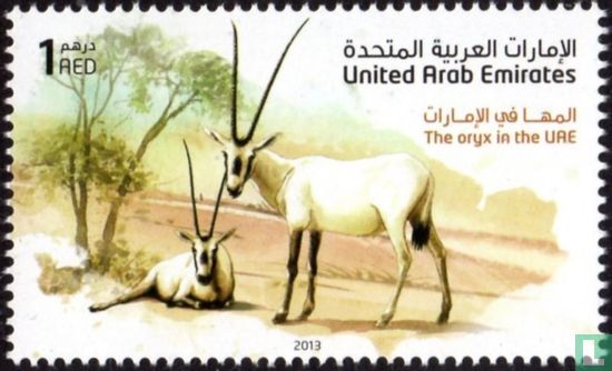 Arabische oryx 