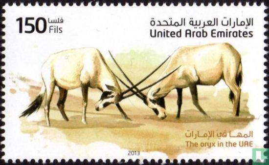 Arabische oryx 