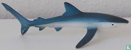 blauwe haai