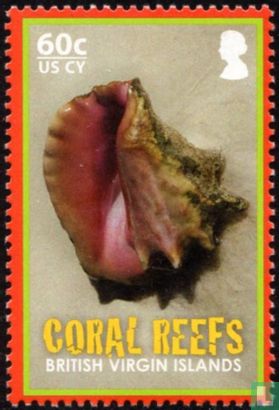 Fauna des Korallenriffs