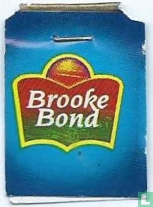 Brooke Bond / Thaj Mahal - Afbeelding 1