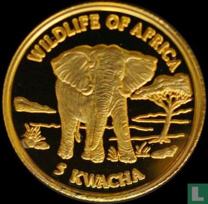 Malawi 5 kwacha 2000 (PROOF) "African Elephant" - Afbeelding 2