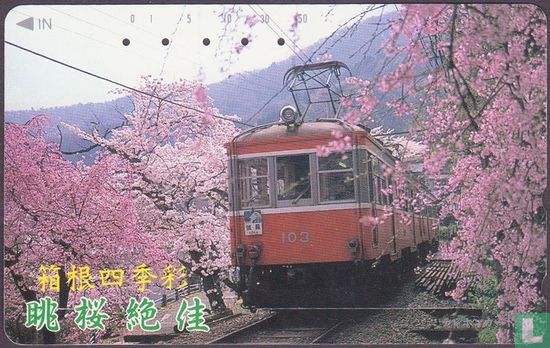 Hakone Tozan Line EMU 103 (11) - Afbeelding 1