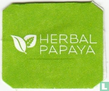 100% Organic Papaya Leaf Tea - Afbeelding 3