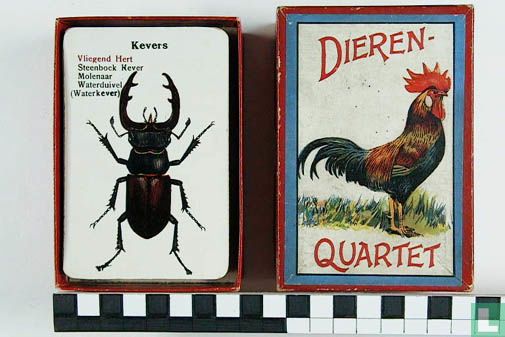 Dieren Quartet - Image 3