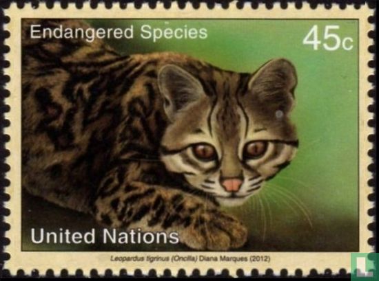 Tiger Katze