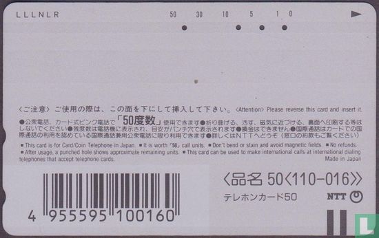 Hakone Tozan Line EMU 107 (20) - Bild 2