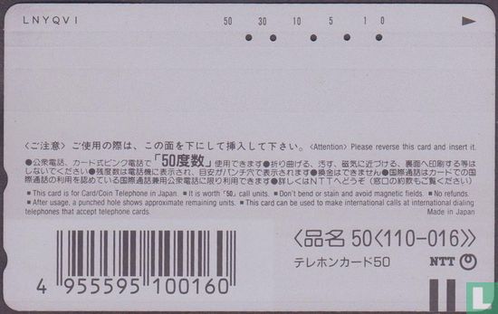 Hakone Tozan Line EMU 109 (27) - Bild 2