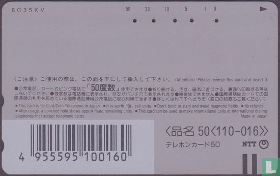 Hakone Tozan Line EMU 110 (28) - Bild 2