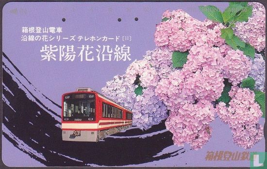 Hakone Tozan Line EMU 2002 - Image 1