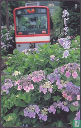 Hakone Tozan Line EMU 2002 - Image 1