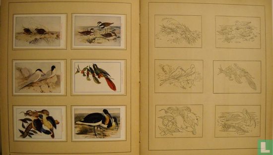 Vogels-Vlinders- en Bloemenalbum - Image 3