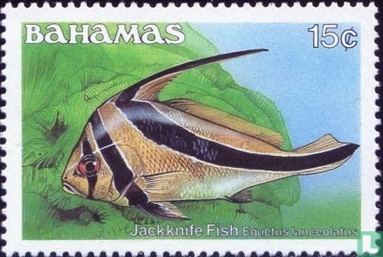 Jack-knifefish