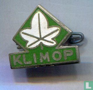 Klimop  - Afbeelding 1