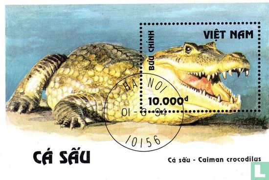 Crocodiles