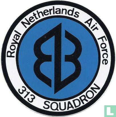 313 Squadron