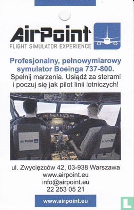Air Poinr Flight Simulator Experience - Image 1