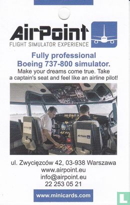 Air Poinr Flight Simulator Experience - Image 2