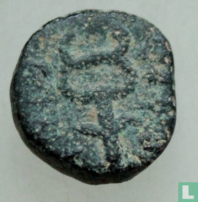 Antioch, Seleukis et Pieria (Syrie romaine, Domitien)  AE13   83 CE - Image 1