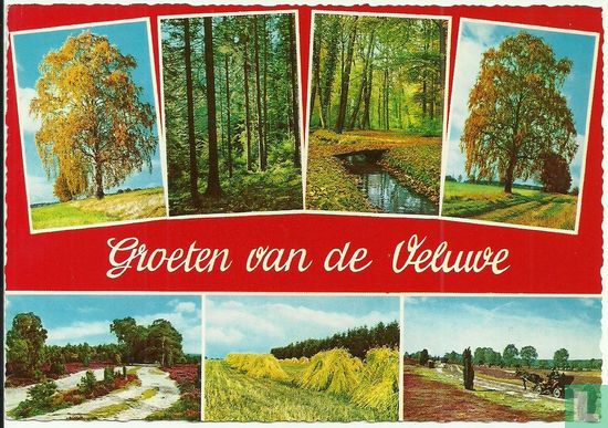 Groeten van de Veluwe - Beekbergen