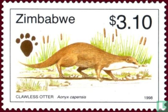 Cape otter