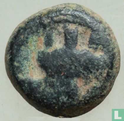 Arados, Phenicia AE14 (semi-autonome, séleucide, Poséidon, galère) 130-129 avant notre ère - Image 2