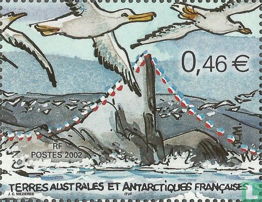 Marathon Flight of the Albatrosses