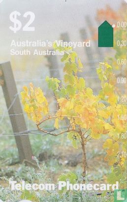 Australia's Vineyard - Image 1