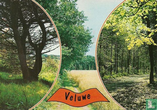 Veluwe - Image 1