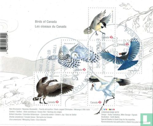 Kanadische Vögel