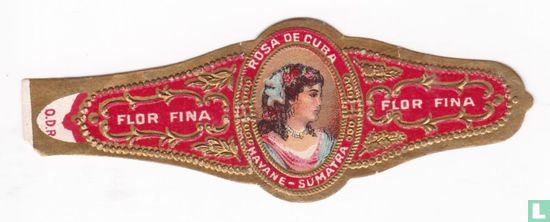 Rosa de Cuba Havane-Sumatra - Flor Fina - Flor Fina - Afbeelding 1