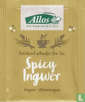 Spicy Ingwer - Afbeelding 1