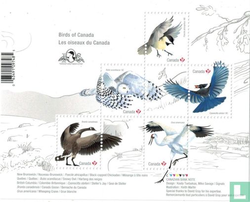 Kanadische Vögel mit aufdruck
