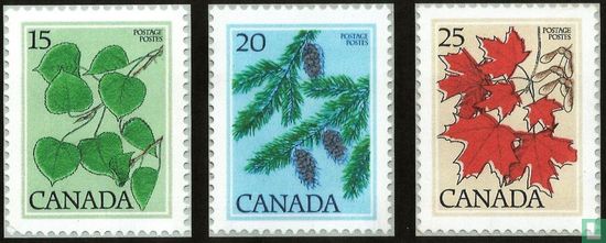 Kanadische Bäume