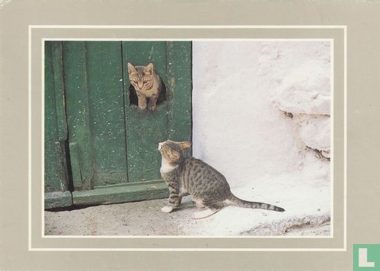 2 katten - Image 1