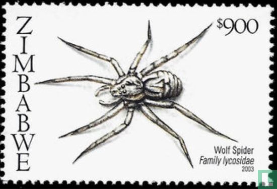 Spiders from southern Africa