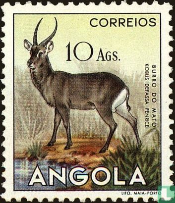 Angolan defassa waterbuck