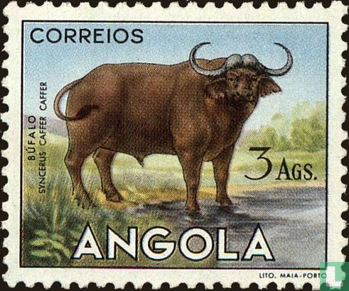 Kaapse buffel