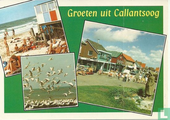 Groeten uit Callantsoog 