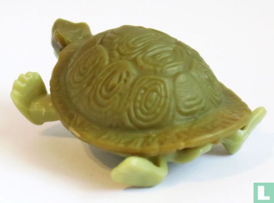 Schildpad  - Afbeelding 2