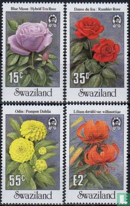 Fleurs de jardin