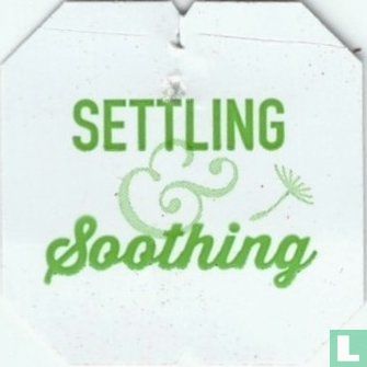Digest / Settling & Soothing - Afbeelding 2