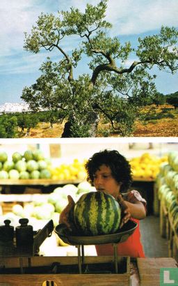 Bovenaan: olijfbomen in de streek van Ostuni. Onderaan: verkoop van watermeloenen in Apulië - Image 1