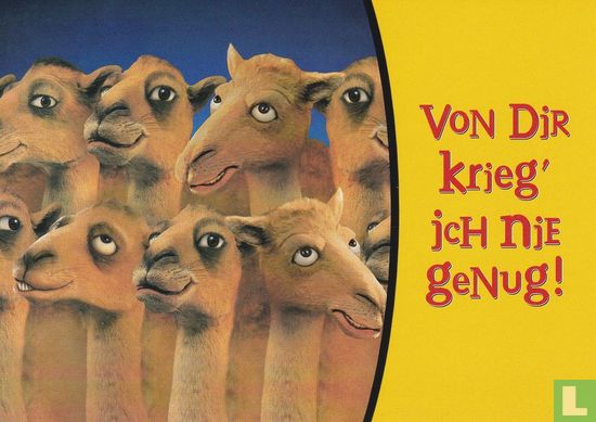 416 - Camel "Von Dir krieg´ ich nie genug!" - Image 1