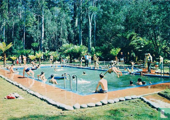 Thermal Pool, Hastings, Tasmania - Image 1
